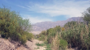 Canal Matriz, Pocito