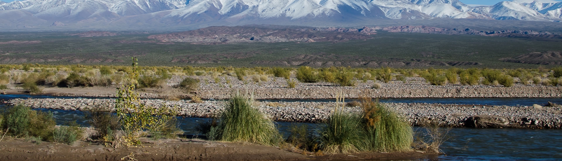 Río Los Patos